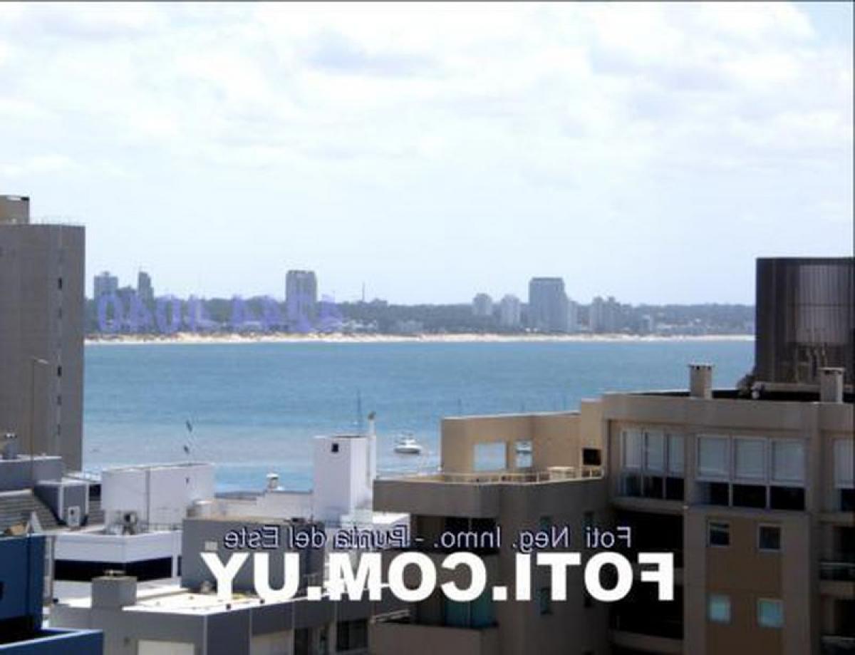 2 Schlafzimmer Wohnung in Punta del Este, Uruguay, Nr. 3279