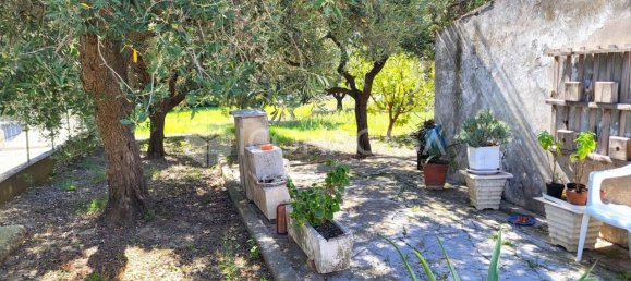 1-salle Terrain à Pescara, Italy No. 26454 3