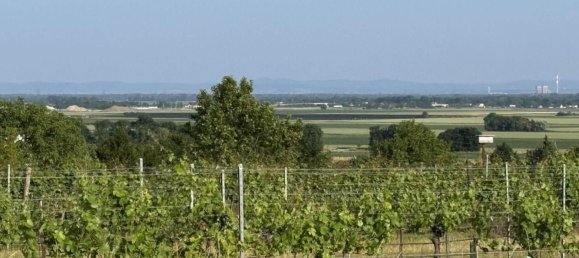 Земельный участок в Фельс ам Ваграм, Австрия № 199087 2