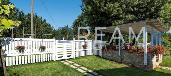 31 room Villa in Lucca, Italy No. 42665 22