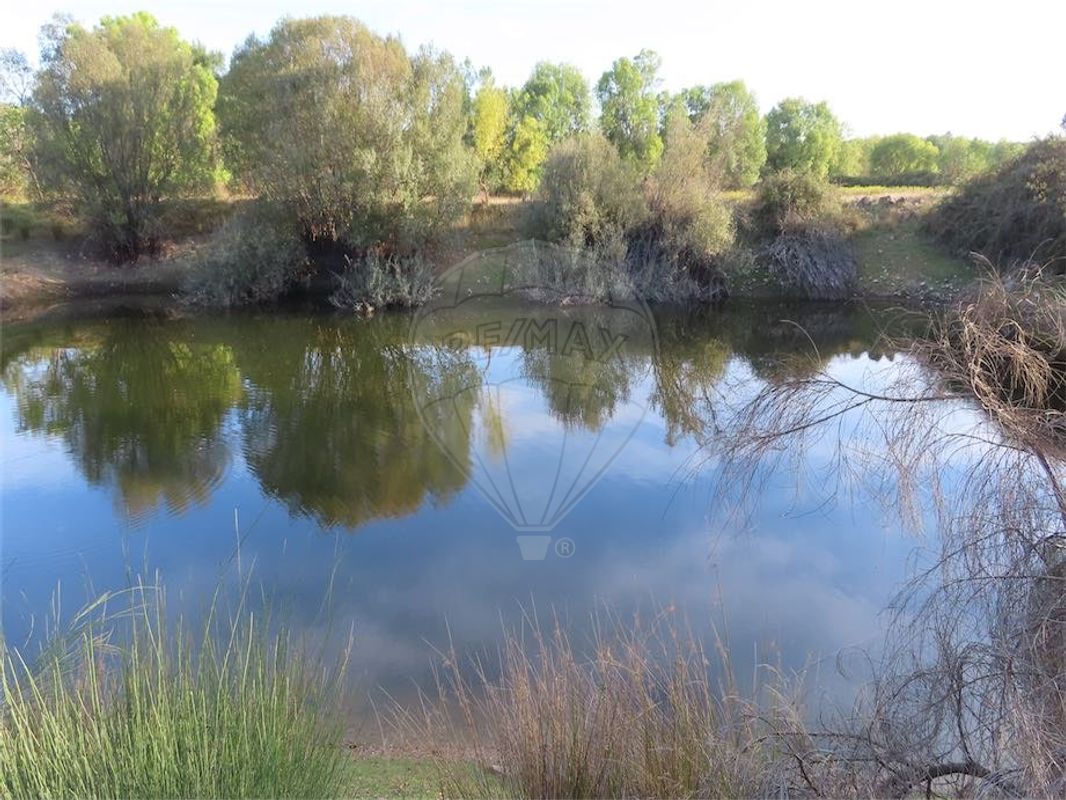 107004m² Land in Castelo Branco, Portugal No. 82819