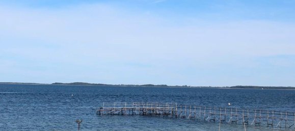 Grundstück in Schleswig-Flensburg, Germany, Nr. 313514 7