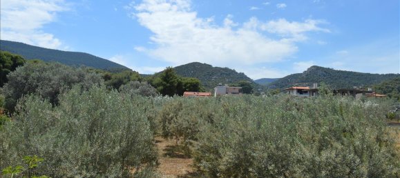 4 غرف نوم Property في Corinthia, Greece رقم 6728 8