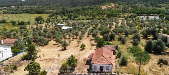 2 غرف نوم منزل في Alvaiazere, Portugal رقم 205609 31