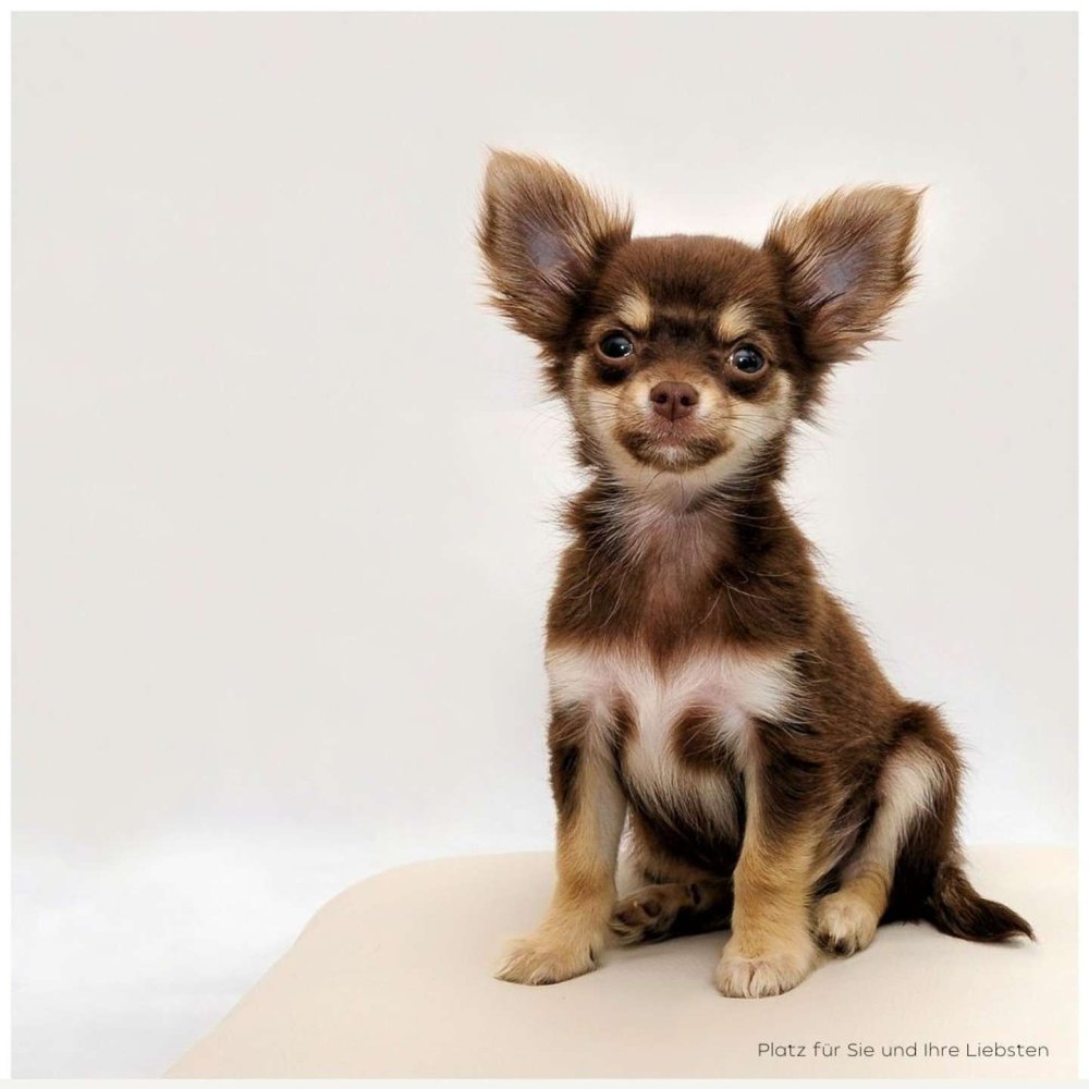 Apartamento de 1 dormitorio en Wurzburg, Germany No. 173408