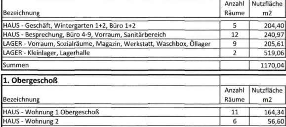 Коммерческая недвижимость 331м² в Клагенфурт ам Вёртерзе, Австрия № 128199 2