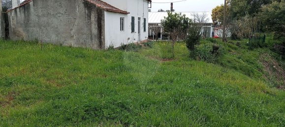 Terreno en Pampilhosa, Portugal 1594 m² No. 168191 9
