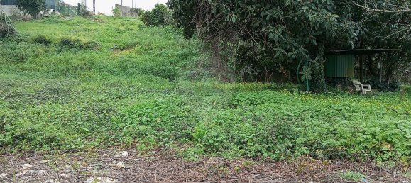 Terreno en Pampilhosa, Portugal 1594 m² No. 168191 8