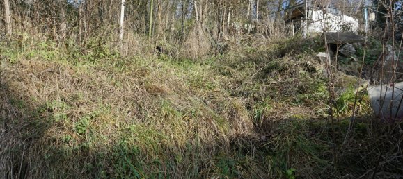 2 Schlafzimmer Stadthaus in Calw, Germany, Nr. 3078 6
