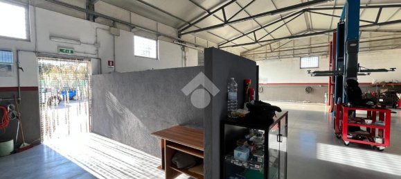 1غرفة مستودع في Anzio, Italy رقم 271778 9