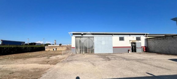 1غرفة مستودع في Anzio, Italy رقم 271778 3