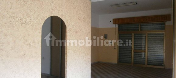 1 room Commercial property in Santa Maria del Cedro, Italy No. 339936 3