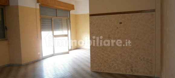 1 room Commercial property in Santa Maria del Cedro, Italy No. 339936 7