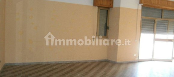 1 room Commercial property in Santa Maria del Cedro, Italy No. 339936 4