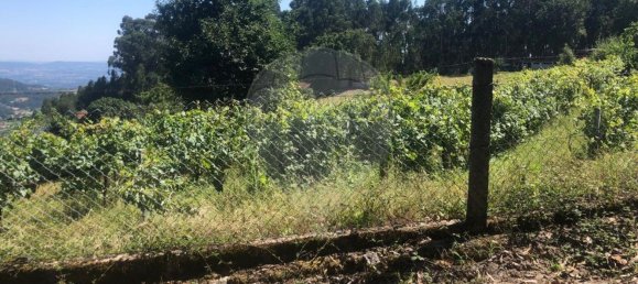  قطعة أرض في Vila Verde, Portugal 6420متر مربع رقم 34402 8