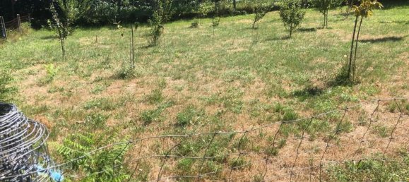  قطعة أرض في Vila Verde, Portugal 6420متر مربع رقم 34402 6