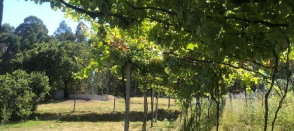  قطعة أرض في Vila Verde, Portugal 6420متر مربع رقم 34402 4