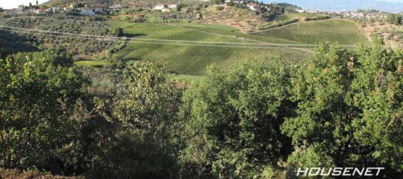 11 rooms Villa in Carmignano, Italy No. 80245 19