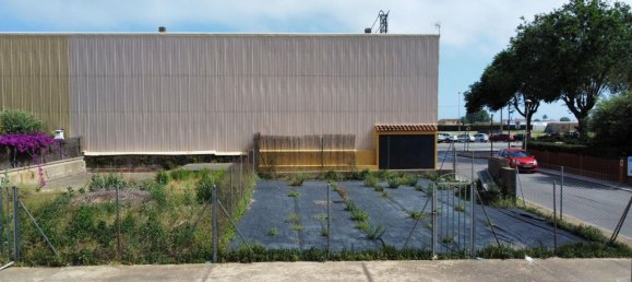 217m² Land in Santa Susanna, Spain No. 112526 11