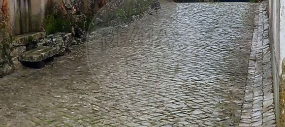 3 bedrooms House in Alvorge, Portugal No. 18119 24