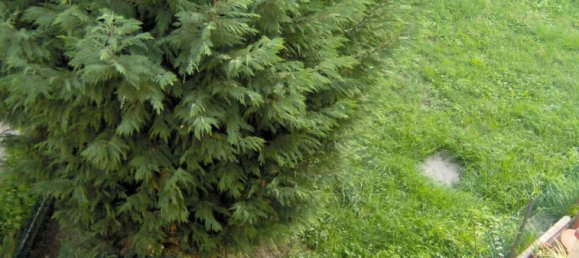 4 rooms House in Terre del Reno, Italy No. 62870 15