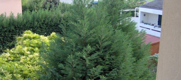 4 rooms House in Terre del Reno, Italy No. 62870 18