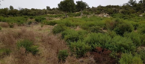 12500m² Hotel in Chalkidiki, Greece No. 5177 9