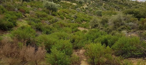 12500m² Hotel in Chalkidiki, Greece No. 5177 5