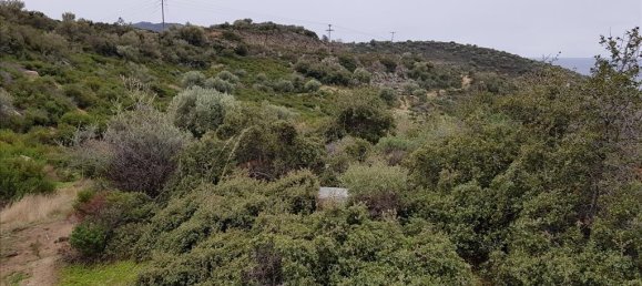 12500m² Hotel in Chalkidiki, Greece No. 5177 8