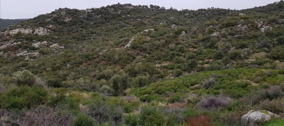 12500m² Hotel in Chalkidiki, Greece No. 5177 3