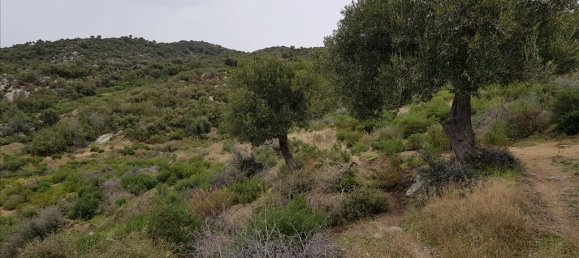 12500m² Hotel in Chalkidiki, Greece No. 5177 2