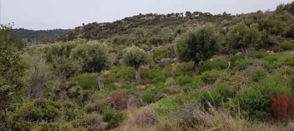 12500m² Hotel in Chalkidiki, Greece No. 5177 10