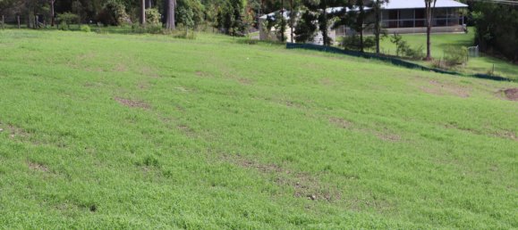 Terrain à Veteran, Australia 4000m² No. 1049 18