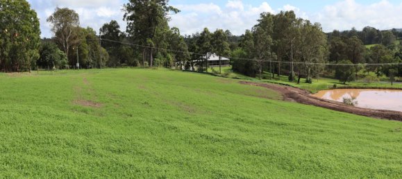 Terrain à Veteran, Australia 4000m² No. 1049 19