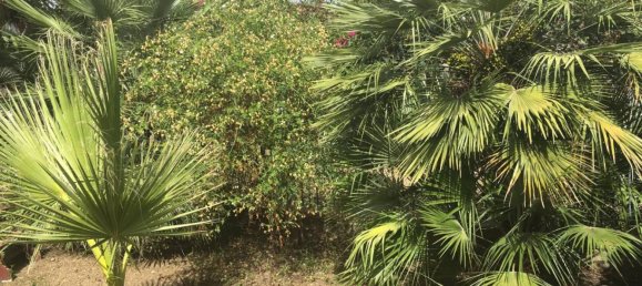 2 chambres Villa à Trabia, Italy No. 320255 20