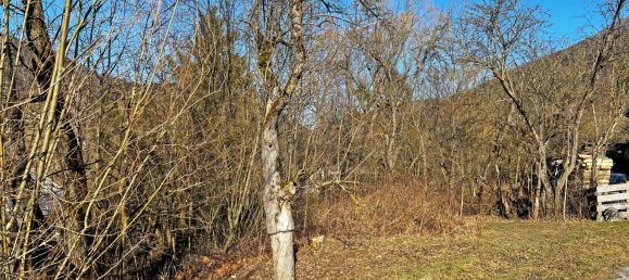 Grundstück in Türnitz, Austria, Nr. 105658 7