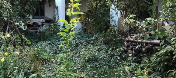 Casa de 5 habitaciónes en Wolkersdorf im Weinviertel, Austria No. 131717 18