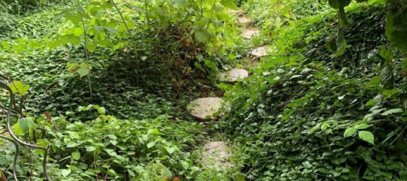 Casa de 5 habitaciónes en Wolkersdorf im Weinviertel, Austria No. 131717 11