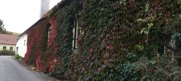 Casa de 5 habitaciónes en Wolkersdorf im Weinviertel, Austria No. 131717 13