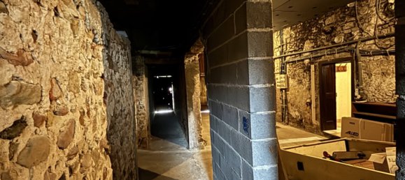 5 chambres Maison à Cattenom, France No. 93059 37