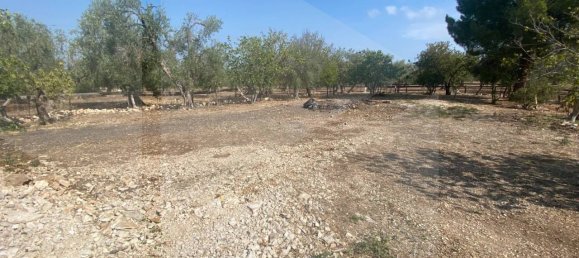 5 rooms Villa in Bitonto, Italy No. 32854 54