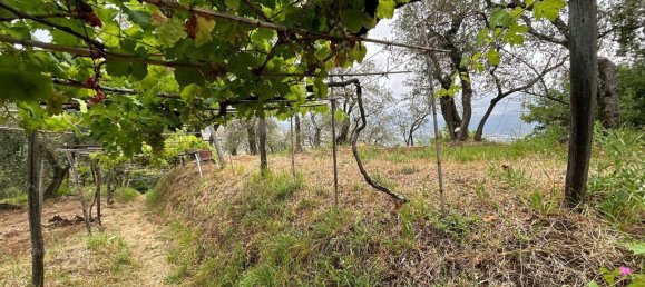 5000m² Land in Arcola, Italy No. 119597 9