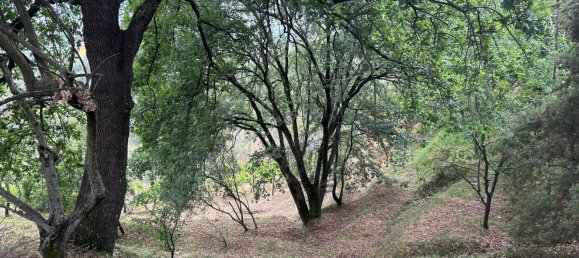 5000m² Land in Arcola, Italy No. 119597 29