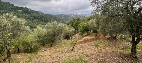 5000m² Land in Arcola, Italy No. 119597 4