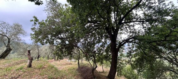 5000m² Land in Arcola, Italy No. 119597 27