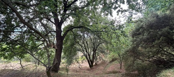 5000m² Land in Arcola, Italy No. 119597 28