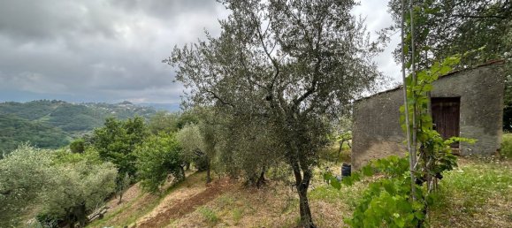 5000m² Land in Arcola, Italy No. 119597 5