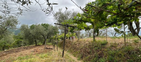 5000m² Land in Arcola, Italy No. 119597 7