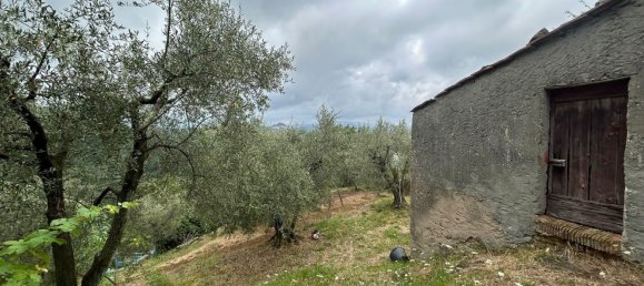5000m² Land in Arcola, Italy No. 119597 22