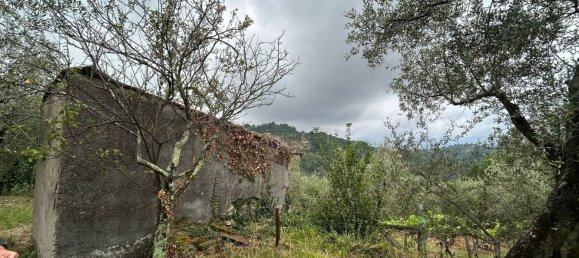 5000m² Land in Arcola, Italy No. 119597 31